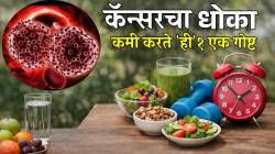 रोज न चुकता ‘ही’ १ गोष्ट करा; कॅन्सरचा धोका वाढवणारे मुख्य घटक शरीरातून होतील कमी; वाचा, डॉक्टरांचा सल्ला…