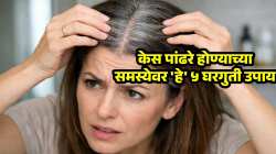 ऐन तारुण्यात केस होतात पांढरे, भरपूर गळतातही? हेअर कलर नकोच, करा फक्त ‘हे’ ६ उपाय