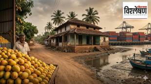 Gulf war impact on Konkan economy | Alphonso mango export crisis