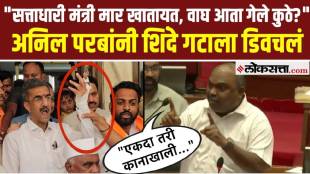 Anil Parab On Shambhuraj Desai Satara ZP Election