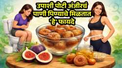 बद्धकोष्ठतेपासून मिळेल आराम, वजन झटक्यात होईल कमी; सकाळी उपाशीपोटी प्या फक्त ‘या’ सुक्या मेव्याचं पाणी