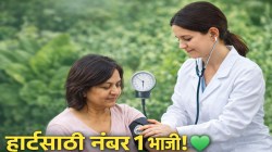 वय कितीही वाढो, BP राहील कंट्रोल! ‘ही’ हिरवी भाजी ठरते रामबाण; आचार्य बालकृष्णांचा मोठा दावा, हार्ट अटॅकचा धोका कमी