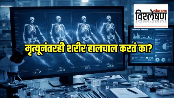 Body movement after death