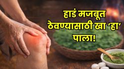 सांधेदुखीने हैराण? हाडांचा कमकुवतपणा कमी करण्यासाठी ‘हा’ पाला ठरू शकतो फायदेशीर; योगगुरु म्हणतात, ३०-४० वयात हाडं कमजोर होणार नाहीत!