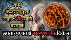 कमी कॅलरीजयुक्त आहार आहे मेंदूसाठी वरदान! म्हातारपणातही स्मरणशक्ती टिकेल – संशोधनाचा निष्कर्ष
