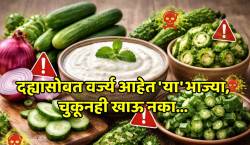 उन्हाळ्यात तुम्हीही दह्यासोबत कांदा, काकडी खाताय का? मग वाचा, तज्ज्ञ काय सांगतात?