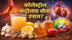 कोलेस्ट्रॉल झटक्यात होईल कमी, हृदयाच्या नसा साफ होऊन हार्ट अटॅकचा धोका होणार नाही; फक्त १४ दिवस ‘हा’ देशी रस प्या; तुम्ही राहाल एकदम फिट