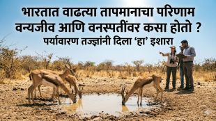 rising-temperatures-in-india-impacting-wildlife-breeding-and-plant-flowering-cycles-experts-warn