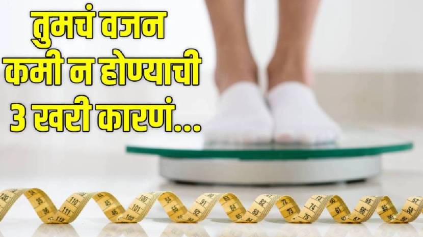 Common Reasons You’re Not Losing Weight