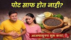 सारखी ॲसिडिटी होते, पोट नीट साफ होत नाही? सकाळी किंवा संध्याकाळी १-२ चमचे ‘या’ बिया खाण्याची सवय लावा; पचन सुधारेल आणि आतडी राहतील स्वच्छ