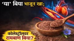 नसांत साचलेलं खराब कोलेस्ट्रॉल एका दिवसात बाहेर पडेल; ‘या’ छोट्या बिया भाजून खा; नसा होतील स्वच्छ, रक्ताभिसरण सुधारेल-हार्ट ॲटॅकचा धोका कमी!