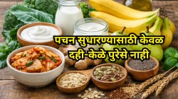 गॅस, पोटफुगी टाळायची असेल तर केळ-दही नाही, ‘हे’ ३ पदार्थ खाणेही ठरू शकते फायदेशीर