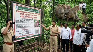 thane-forest-dept-announces-25000-reward-for-info-on-culprits-attacking-monkeys-with-arrows-in-yeoor