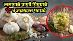 लसणाचे पाणी पिण्याचे ‘हे’ ५ जबरदस्त फायदे माहितेयत का? रोज सकाळी उपाशी पोटी करा सेवन