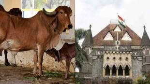 Bombay High Court Verdict Marathi | मुंबई उच्च न्यायालय निकाल | Atrocity Act Cattle Shed Case | ॲट्रॉसिटी कायदा निकाल