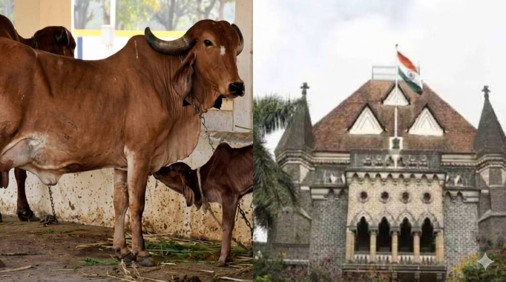 Bombay High Court Verdict Marathi | मुंबई उच्च न्यायालय निकाल | Atrocity Act Cattle Shed Case | ॲट्रॉसिटी कायदा निकाल Bombay High Court Verdict Marathi | मुंबई उच्च न्यायालय निकाल | Atrocity Act Cattle Shed Case | ॲट्रॉसिटी कायदा निकाल