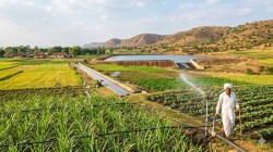 राज्याचे सिंचन क्षेत्र आहे तरी किती?