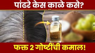 Amla for Grey Hair Henna Leaves Benefits Hair