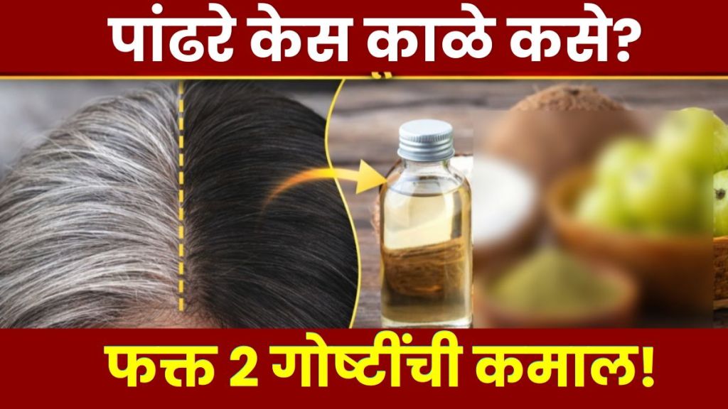 Amla for Grey Hair Henna Leaves Benefits Hair Amla for Grey Hair Henna Leaves Benefits Hair