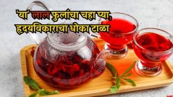 शरीर थंड, हृदय सुरक्षित! मार्च-एप्रिलमध्ये जास्वंदाचा चहा पिण्याचे अद्भुत फायदे – सद्गुरूंचा सल्ला