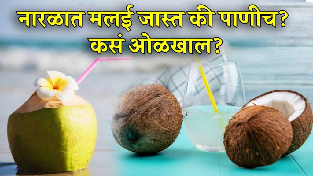 How to choose coconut with more water How to choose coconut with more water