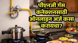 PNG Gas कनेक्शनसाठी ऑनलाइन अर्ज कसा करायचा? जाणून घ्या संपूर्ण प्रोसेस