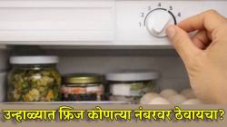 एप्रिल, मे महिन्यात घरातील फ्रीजचं तापमान कोणत्या नंबरवर ठेवायचं? सेटिंगमध्ये करा ‘हा’ बदल…