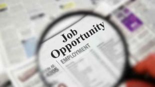 it-freshers-left-in-lurch-as-major-companies-delay-onboarding-after-campus-placement-offers