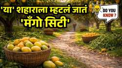 रत्नागिरी, सिंधुदुर्ग नाही तर ‘या’ शहाराला म्हटलं जातं ‘मँगो सिटी’, आहे कोणत्या राज्यात? जाणून घ्या