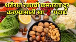 शरीरात कधीच भासणार नाही रक्ताची कमी; खा फक्त ‘हे’ पदार्थ; हिमोग्लोबीन वाढेल भराभर