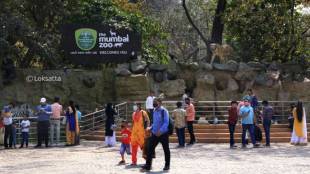 Asiatic Lion Mumbai Zoo | जिजामाता उद्यान सिंह | Mumbai Mayor Ritu Tawde letter to Gujarat CM | भायखळा राणीची बाग