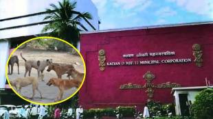 Stray dog issue in Kalyan Dombivli KDMC Mahasabha | कल्याण डोंबिवली महानगरपालिका भटके कुत्रे समस्या नसबंदी केंद्र