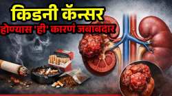 तंबाखूच नाही ‘या’ गोष्टींमुळेही होऊ शकतो किडनी कॅन्सर, लक्षणांकडे करू नका दुर्लक्ष, बचावासाठी उपाय काय?