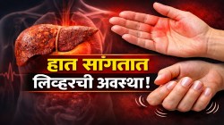 लिव्हर खराब होण्यापूर्वी शरीर देतं ‘हे’ ६ संकेत; हातांवर दिसतात धोक्याची चिन्हं, लगेच सावध व्हा, अन्यथा होतील गंभीर परिणाम