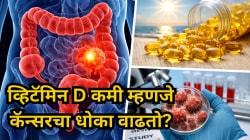 सावधान! शरीरात व्हिटॅमिन डी कमी असेल तर कॅन्सरचा धोका वाढतो? संशोधनातून धक्कादायक खुलासा