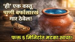 ५ मिनिटांत पाण्याचा माठ ‘या’ पद्धतींनी होईल पूर्ण स्वच्छ? ‘ही’ १ वस्तू फ्रीजपेक्षा गारेगार ठेवेल पाणी, १०० वर्षांपूर्वीची भन्नाट ट्रिक समोर, पाहा VIDEO