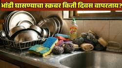 भांडी घासून झाल्यानंतरची ‘ही’ चूक पडेल महागात; स्क्रबर, स्पंज बॅक्टेरिया आणि फंगसचं बनेल घर; वेळीच करा अशापद्धतीने स्वच्छ