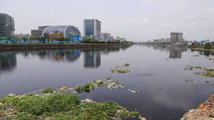Mithi River desilting Mumbai BMC | Mumbai flood alert July 26 situation | Mithi River cleaning tender delay