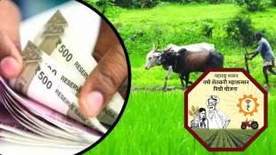 Namo Shetkari Mahasamman Nidhi 8th installment date | Maharashtra farmers financial aid scheme