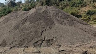 nandurbar-sand-auction-amalthe-ghat-gets-nine-times-higher-bid-than-base-price-revenue-surge