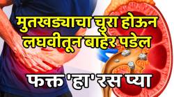 मुतखड्याचा चुरा होऊन लघवीतून बाहेर पडेल; ऑपरेशनशिवाय एका आठवड्यात आराम, फक्त ‘हा’ रस प्या