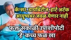 कॅन्सर, डायबिटीज, हार्ट अटॅकसारखे मोठे आजार आयुष्यभर होणार नाही! फक्त सकाळी उपाशीपोटी ‘हे’ कच्च फळ खा