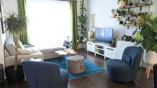 natural ways to beat heat at home indoor plants to keep house cool without AC