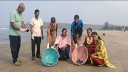 मालवण-आचरा समुद्रकिनारी ५५ ‘ऑलिव्ह रिडले’ कासव पिल्लांना जीवदान; कासवमित्र सूर्यकांत धुरी यांचा पुढाकार