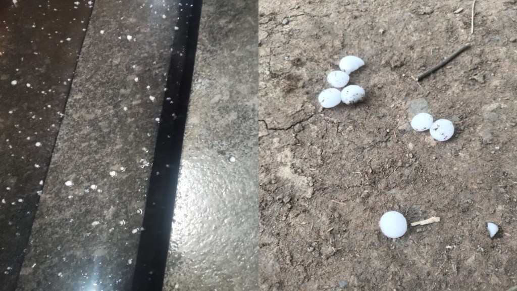 Latur Dharashiv hailstorm crop damage updates Latur Dharashiv hailstorm crop damage updates