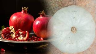 ash gourd pomegranate salad benefits