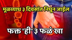 मूळव्याधाला ३ दिवसांत उखडून फेकतात ‘ही’ १० रूपयांची फळं; औषधं अन् सर्जरीविना उठता बसतानाचा त्रास कायमचा जाईल