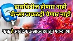 डायबिटीज होणार नाही, कॅन्सर जवळही येणार नाही; फक्त ‘हे’ आबंट फळ आठवड्यातून एकदा तरी खा