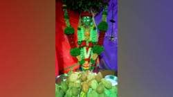 सिंधुदुर्ग : ​सांगेलीत फणसाच्या झाडाला ‘गिरोबा’ मानून अनोखी प्रतिष्ठापना; लाखो भाविकांच्या उपस्थितीत सोहळा संपन्न