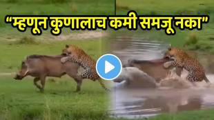 Viral video of Girls dance on swargat aakash ganga song video goes viral on social media